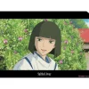 Maison Ghibli A4 Size Clear Folder Haku - Sprited Away