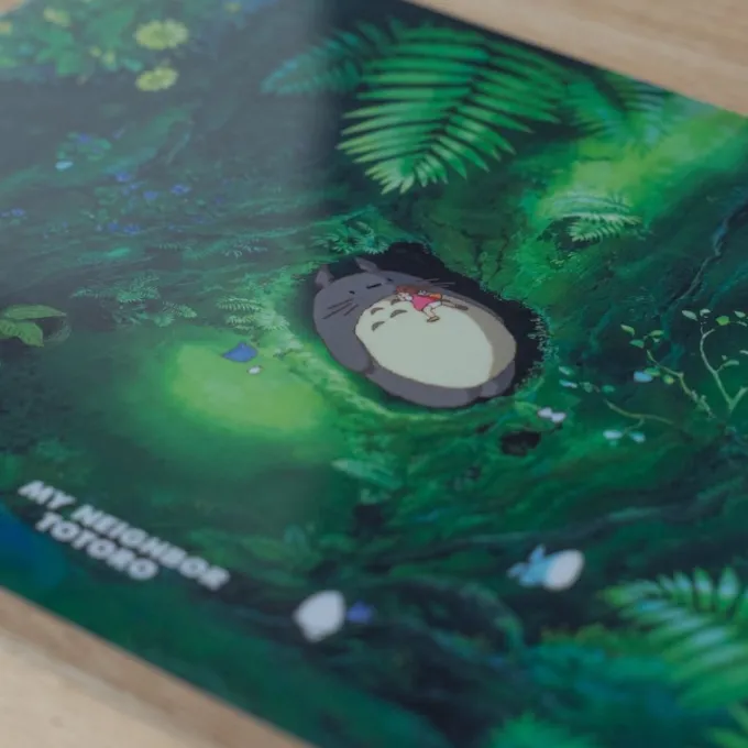 Maison Ghibli A4 size Clear Folder Totoro's bed - My Neighbour Totoro