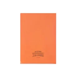 Maison Ghibli Art Déco Clear Folder A4 - My Neighbor Totoro