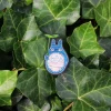 Maison Ghibli Embroidered Jewel Brooch Medium Totoro - My Neighbor Totoro