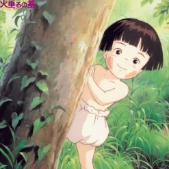 Maison Ghibli Soundtrack Limited edition LP - Grave of the Fireflies